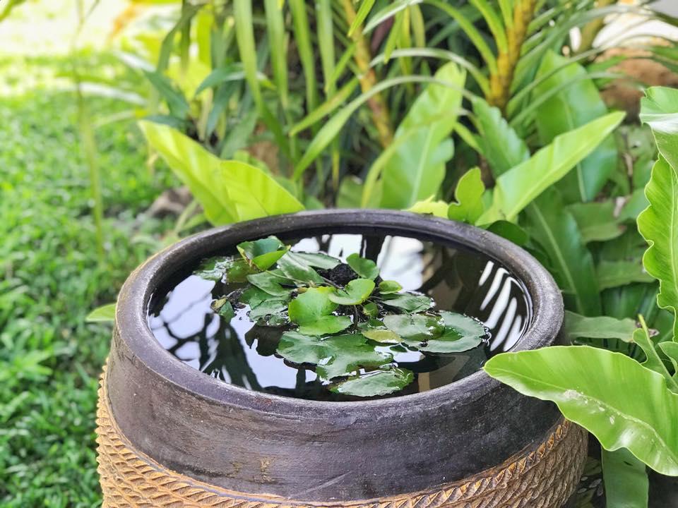 Verona Lanta Resort Koh Lanta Bagian luar foto